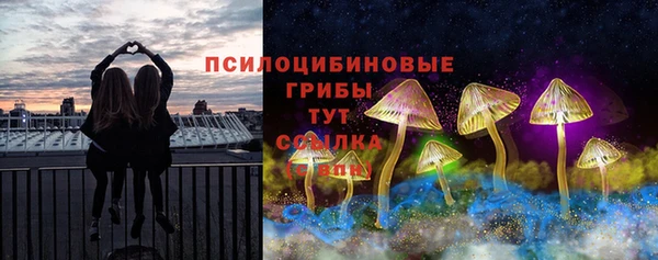 мяу мяу мука Армянск